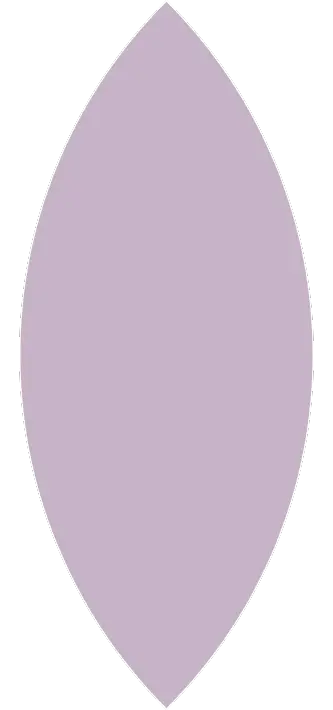 Blad 2 (333 x 710 px)