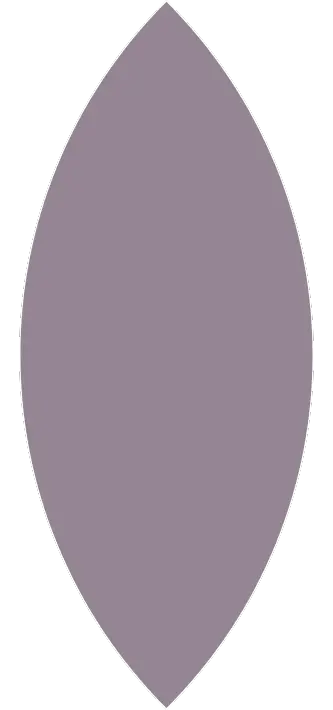 blad 1 (333 x 710 px)